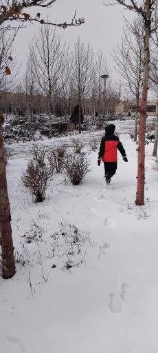 عکس بوستان مهر