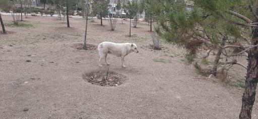 بوستان مهر