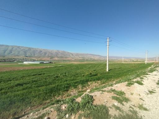 عکس سرآبله