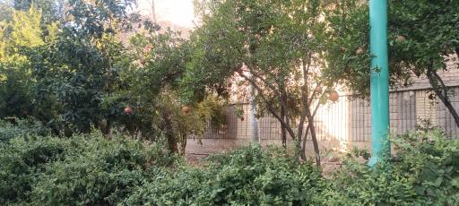 عکس رفاه گستر تامین اجتماعی شیراز