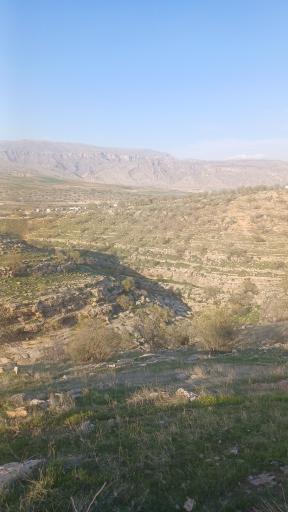 عکس سرآبله