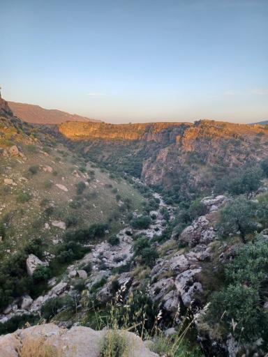 عکس سرآبله