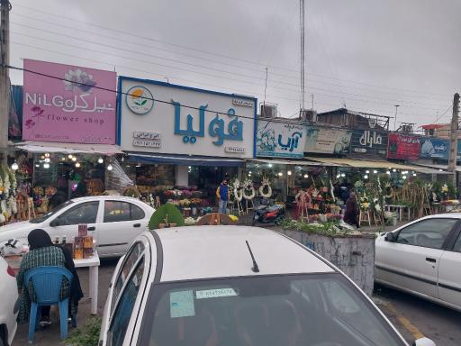 عکس گل فروشی مارال