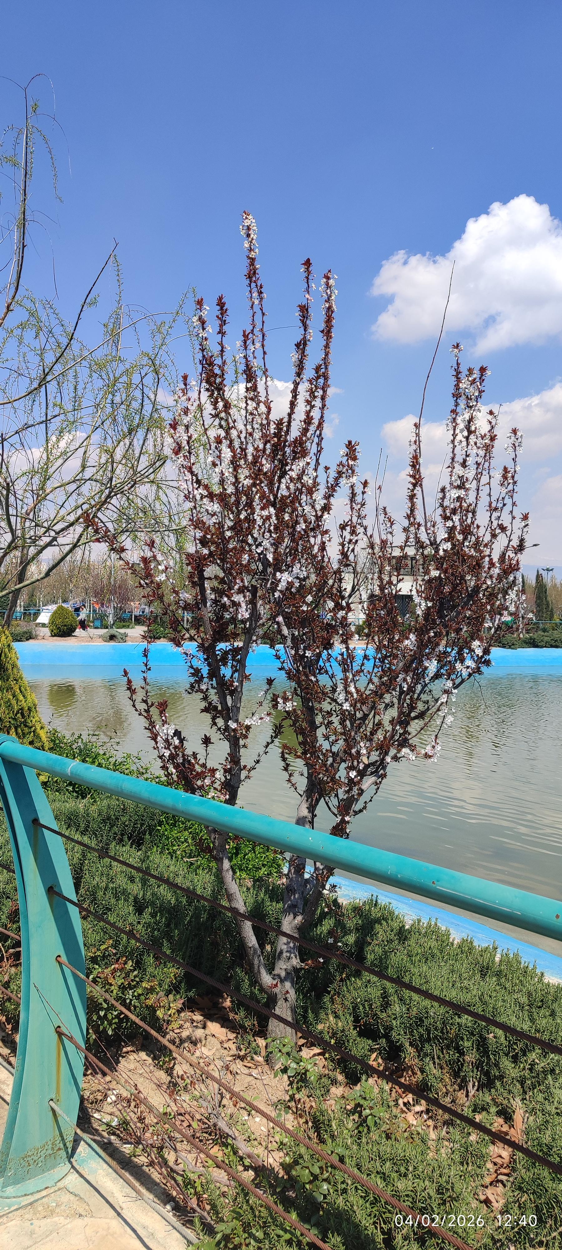 عکس بوستان مهر