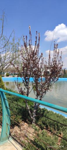عکس بوستان مهر