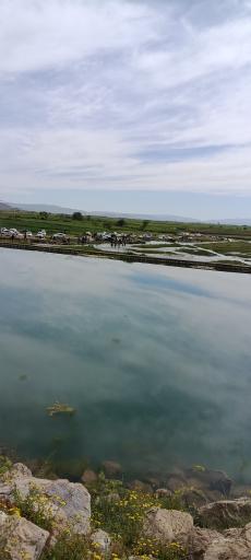 عکس سرآبله