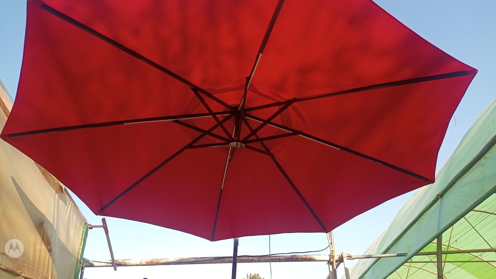 عکس تولیدی چتر کردان