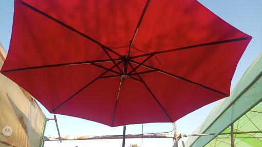 عکس تولیدی چتر کردان