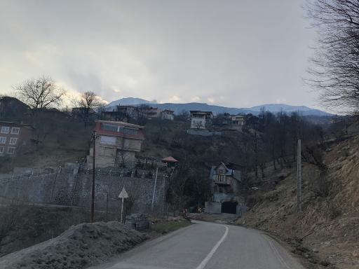 عکس کلیشم