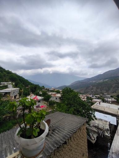 عکس قورچای