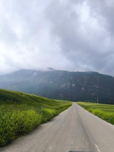 عکس قورچای