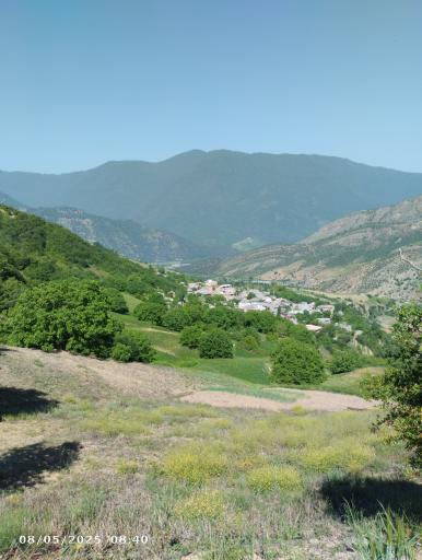 عکس قورچای