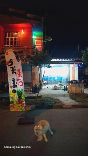 عکس هایپر میوه مهران