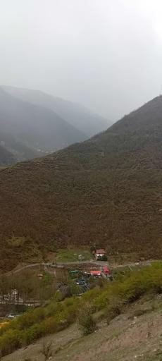 عکس کلیشم