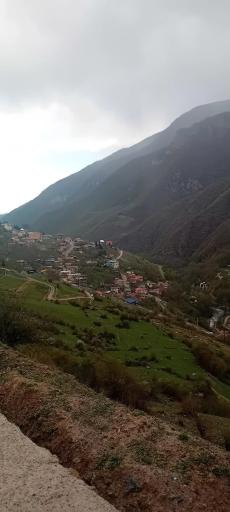 عکس کلیشم