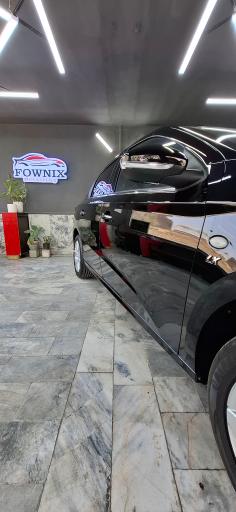 عکس دیتیلینگ فونیکس