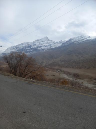 عکس دورود