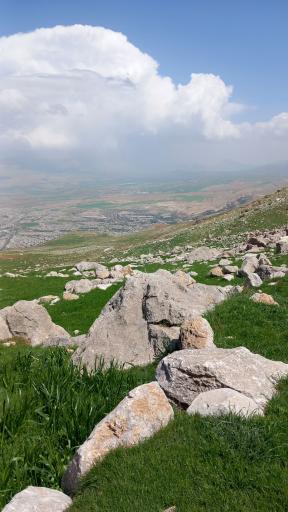 عکس دورود