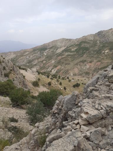 عکس دورود
