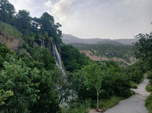 عکس دورود