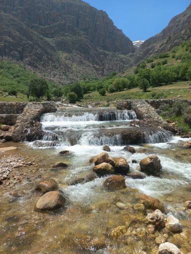 عکس دورود