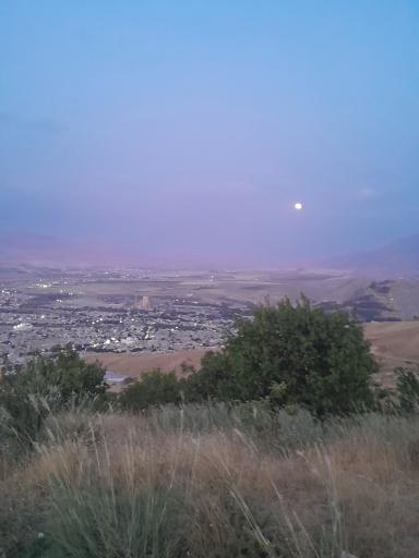 عکس دورود