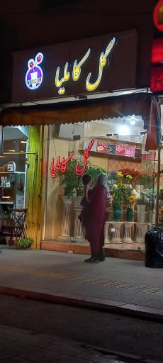 عکس گل فروشی کاملیا
