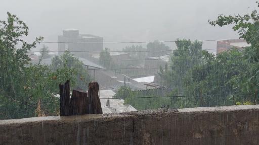 عکس قورچای