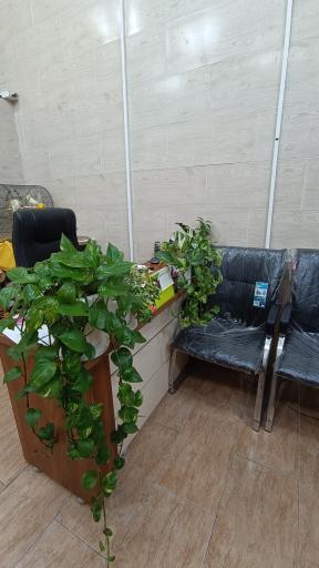 عکس املاک آقائی پور