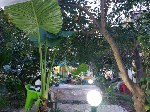 عکس کافه راپا