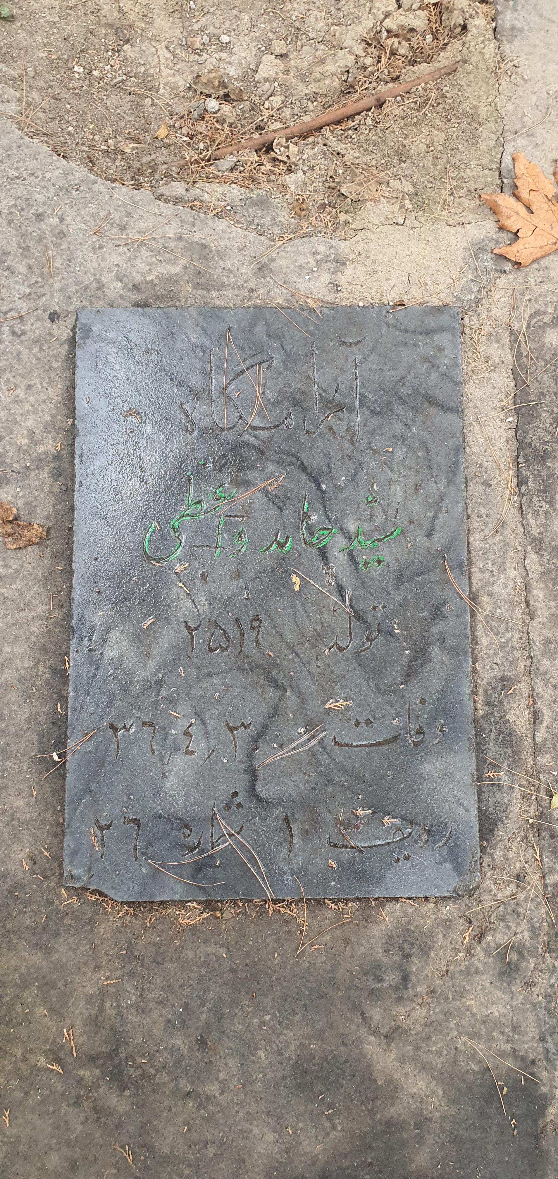 عکس مزار حامد واعظی