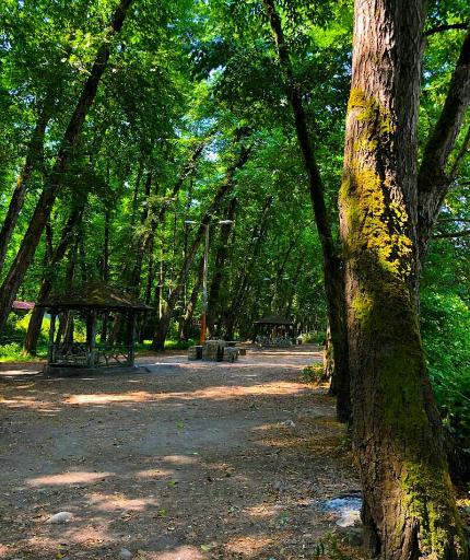 عکس پارک جنگلی فین چالوس