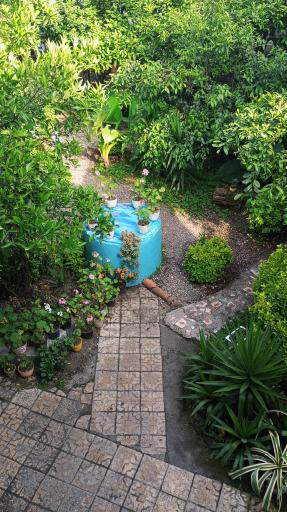 عکس کافه راپا