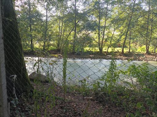 عکس پارک جنگلی فین چالوس