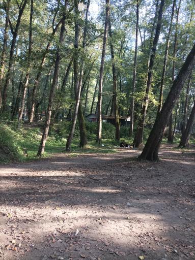 عکس پارک جنگلی فین چالوس