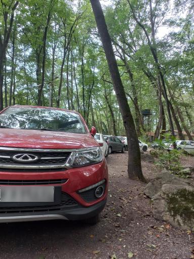 عکس پارک جنگلی فین چالوس