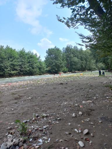 عکس پارک جنگلی فین چالوس