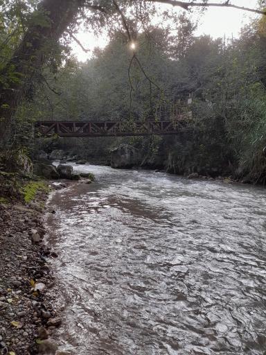 عکس پارک جنگلی فین چالوس