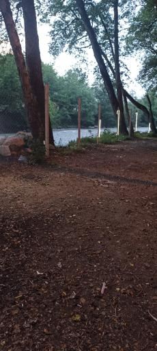 عکس پارک جنگلی فین چالوس