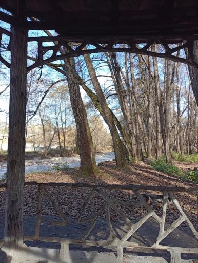 عکس پارک جنگلی فین چالوس