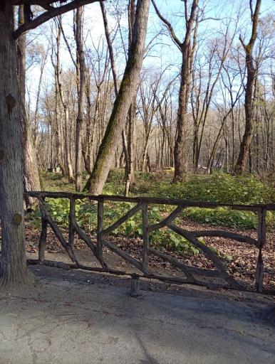 عکس پارک جنگلی فین چالوس