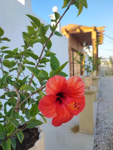 عکس اقامتگاه زرین