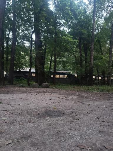 عکس پارک جنگلی فین چالوس