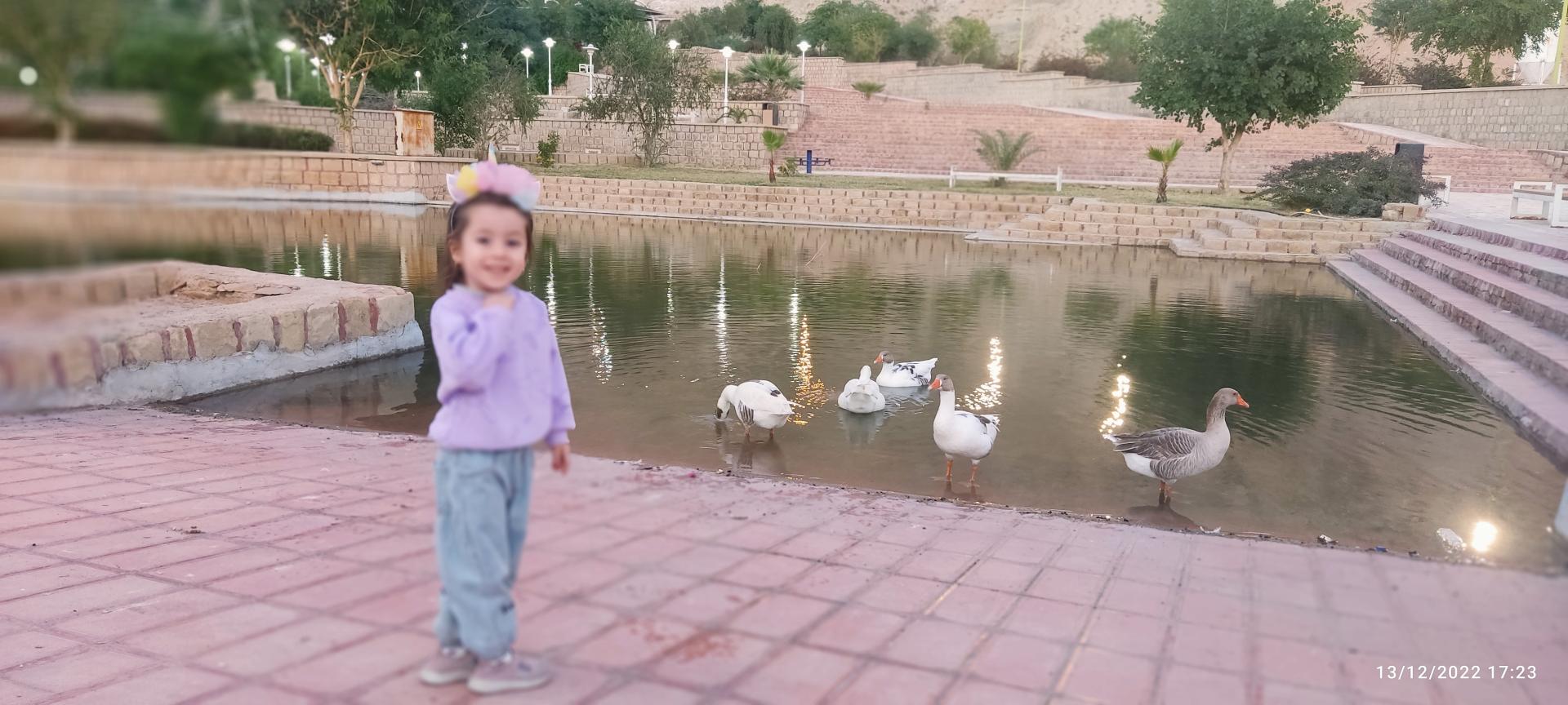 عکس پارک کوهستانی طبیعت