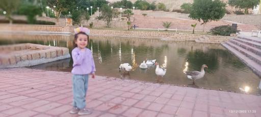 عکس پارک کوهستانی طبیعت