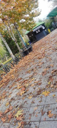 عکس جان اسنک ۲۲