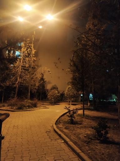 عکس پارک واثق