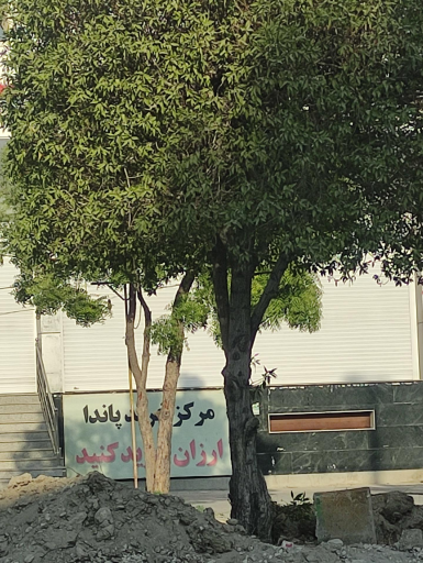 عکس مرکز خرید پاندا