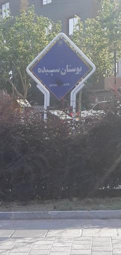 عکس بوستان سپیده