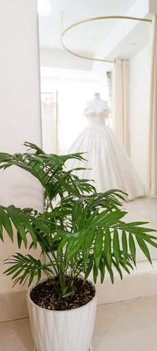 عکس مزون عروس سوما 